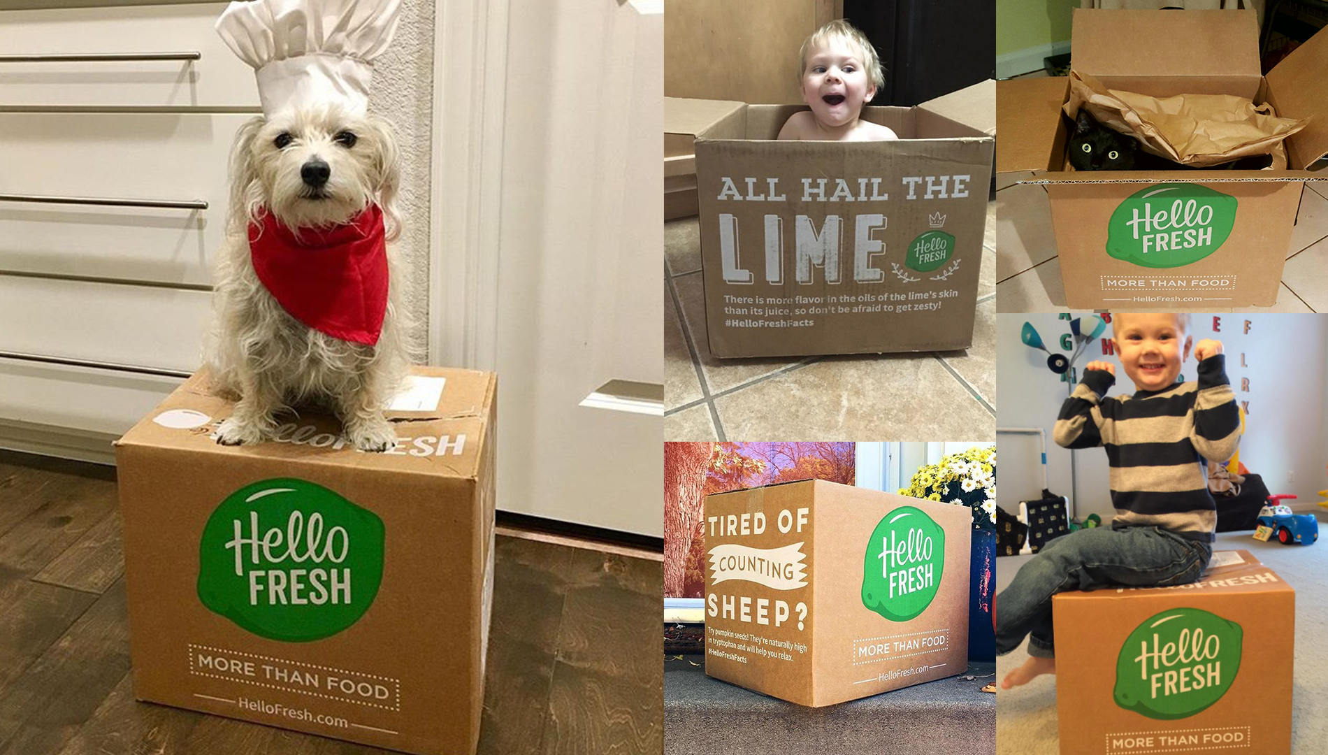 HelloFresh packaging photos on social