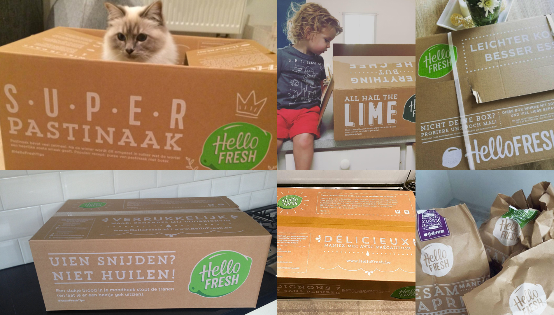 HelloFresh international packaging with new logo